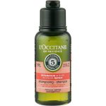 Шампунь восстанавливающий - L'Occitane Aromachologie Repariring Shampoo Travel