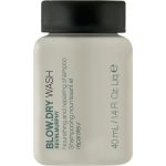Kevin Murphy Blow.Dry Rinse (мини), Шампунь с термозащитой для питания и восстановления волос, 40 мл.