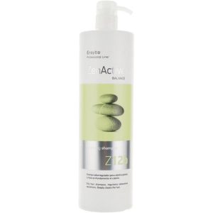 Erayba Z12b Cleansing Shampoo, Шампунь против жирных волос