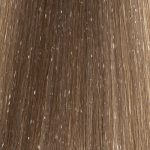 HAIR COMPANY, Стойкая крем-краска для волос Hair Light Crema Colorante 8.31, 100 мл