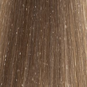 HAIR COMPANY, Стойкая крем-краска для волос Hair Light Crema Colorante 8.31, 100 мл