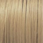 INSIGHT, Перманентный краситель для волос Incolor 10.11, 100 мл