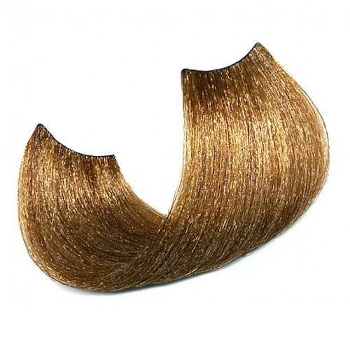 SHOT, Крем-краска для волос Born To Be Colored 7/3, 100 мл