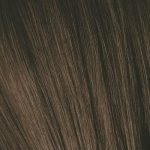 INSIGHT, Перманентный краситель для волос Incolor 4.00, 100 мл