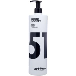 ARTEGO, Серебряный шампунь 51 Specials, 1000 мл