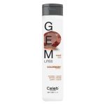 CELEB LUXURY, Шампунь для яркости цвета Gem Lites Colorwash тёмный янтарь, 244 мл