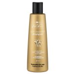 HAIR COMPANY, Шампунь стабилизирующий для волос Inimitable, 250 мл