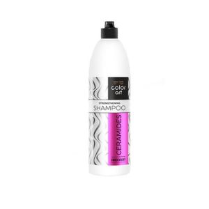 PROSALON, Шампунь укрепляющий с керамидами Color Art Basic Care, 5000 мл