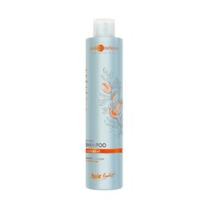 Шампунь для волос Hair Company Professional Hair Natural Light Bio Argan с аргановым маслом 250мл
