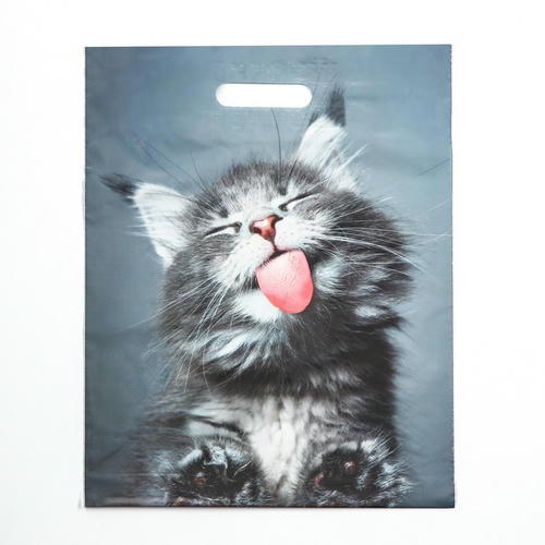 Пакет "Кот", полиэтиленовый с вырубной ручкой, 30х40 см, 50 мкм - 50 шт.
