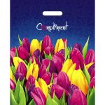 Пакет "Комплимент", полиэтиленовый с вырубной ручкой, 60 мкм 38х47 см - 50 шт.